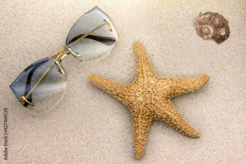Falt lay - okulary przeciwsłoneczne, damskie, w złotych ramkach leżące na piasku, na plazy. Obok rozgwiazda oraz muszla. Bogactwo plaż na florydzie. 