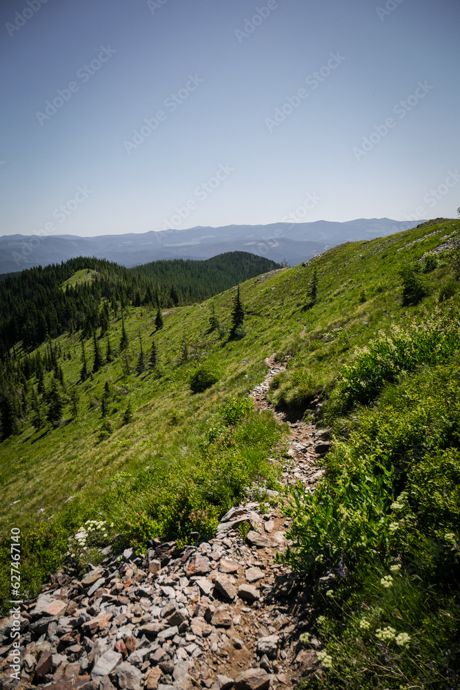Rocky Dirt trail going across grassy open hillside in Wallace Idaho