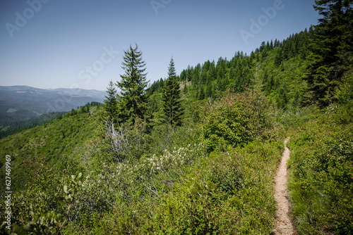 фотографія Dirt trail on steep hillside of mountain in Kellogg Idaho looking out over mount
