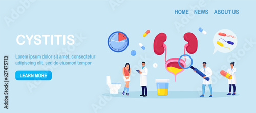 Urinary Tract Infections, Cystitis. Diagnosis, Treatment of Bladder Diseases, Inflammation, Urine Analysis. Woman Suffering from Pain during Urination. Doctor Researching Urethritis, Genital Infection