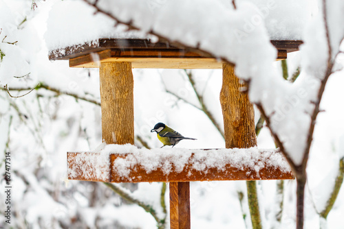 Futterhaus für Vögel