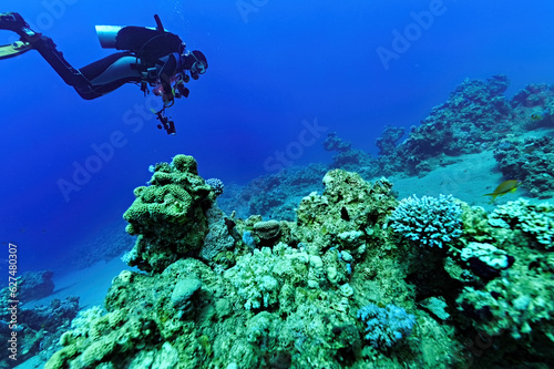 Woman diver in Red sea with corals on background in Egypt
