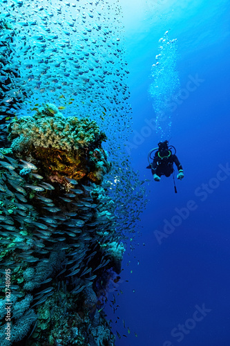 Divers in the Red sea in Dahab. Scuba diving in Egypt