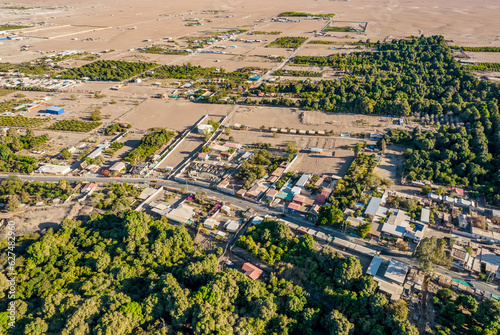 Foto Pica, desierto, oasis, Tarapacá, Chile