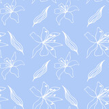 Seamless pattern texture of lily flowers in blue and white
