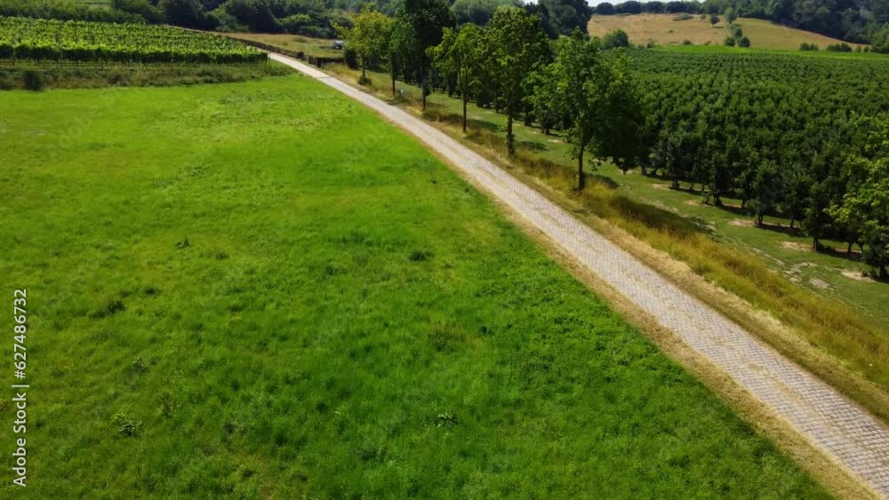 Areal flight over wheat fields and pear and apple plantation in Limburg, Belgium in Europe. Beautiful green landscape with villages in the background drone shot Areal flight over wheat fields and pear and apple plantation in Limburg, Belgium in Europe. Beautiful green landscape with villages in the background drone shot