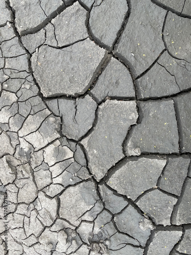 Obraz premium dry cracked earth