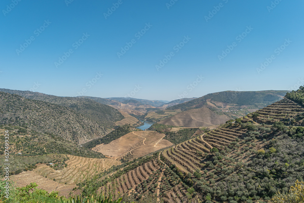 Point of view shot from historic train in Douro region Portugal. vineyards in Douro Valley Alto Douro Wine Region in northern Portugal officially designated by UNESCO as World Heritage Site.