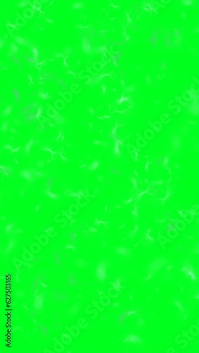 Dandelion Seeds And Cloud On Green Screen vertical video photo