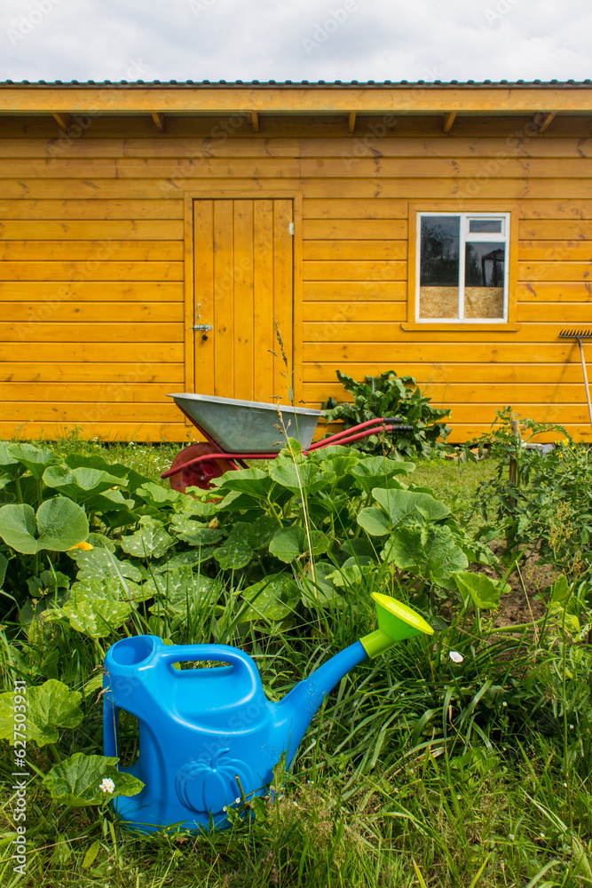 Garden tools - plastic watering cans and a metal cart on the grass on a summer day against the backdrop of a cottage wall.  Concept - gardening