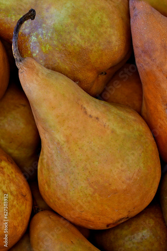 Ripe pear with shriveling stem photo