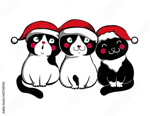 three cats with chrismas hat