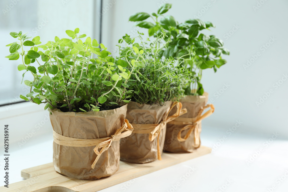 Different fresh potted herbs on windowsill indoors Different fresh potted herbs on windowsill indoors