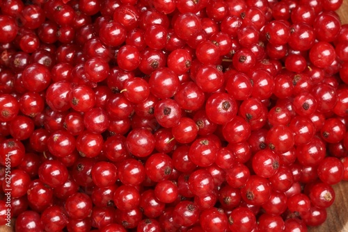 Many tasty fresh red currants as background  closeup