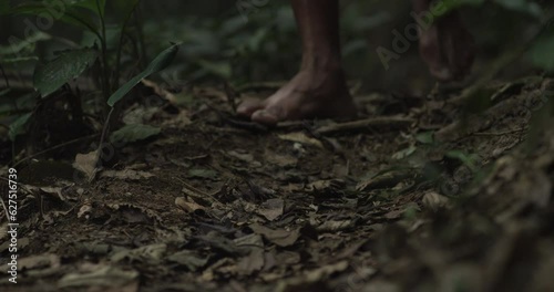 Harmony with Nature: Indigenous Peoples Walking in the Heart of the Amazon Rainforest