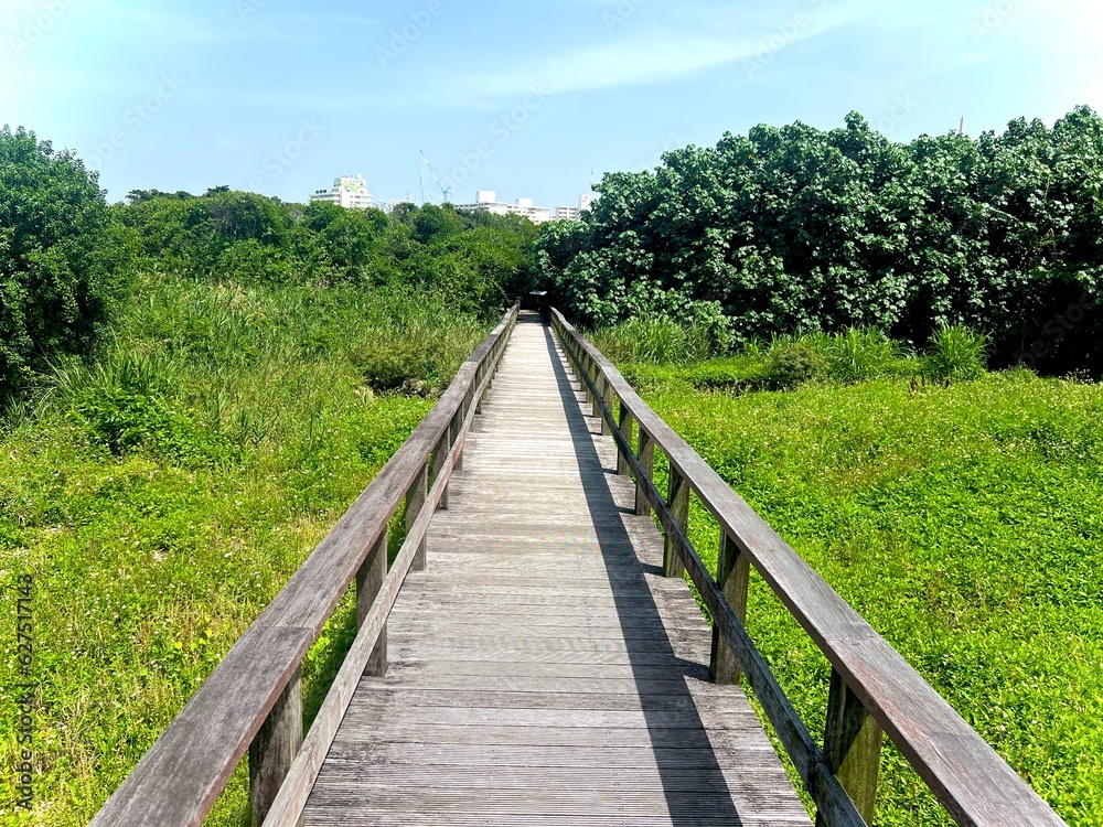 沖縄の那覇にある湿地帯