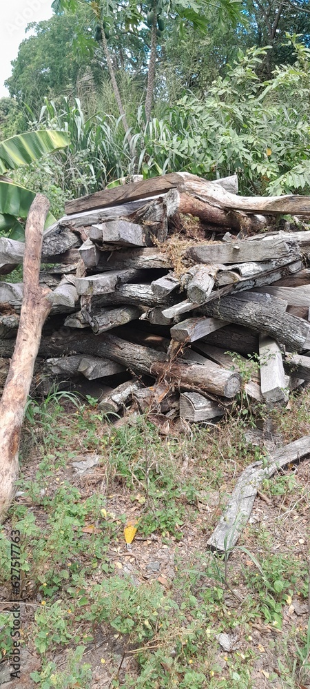 Obraz premium stack of firewood