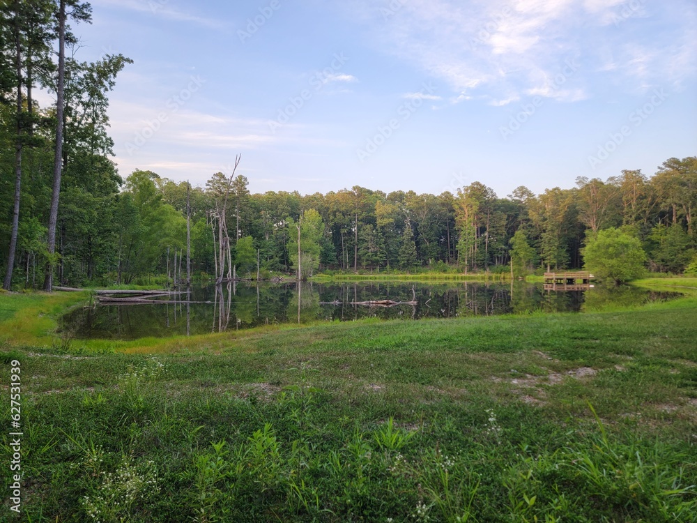 Pond in Ouachita National Forest, Arkansas in Summer