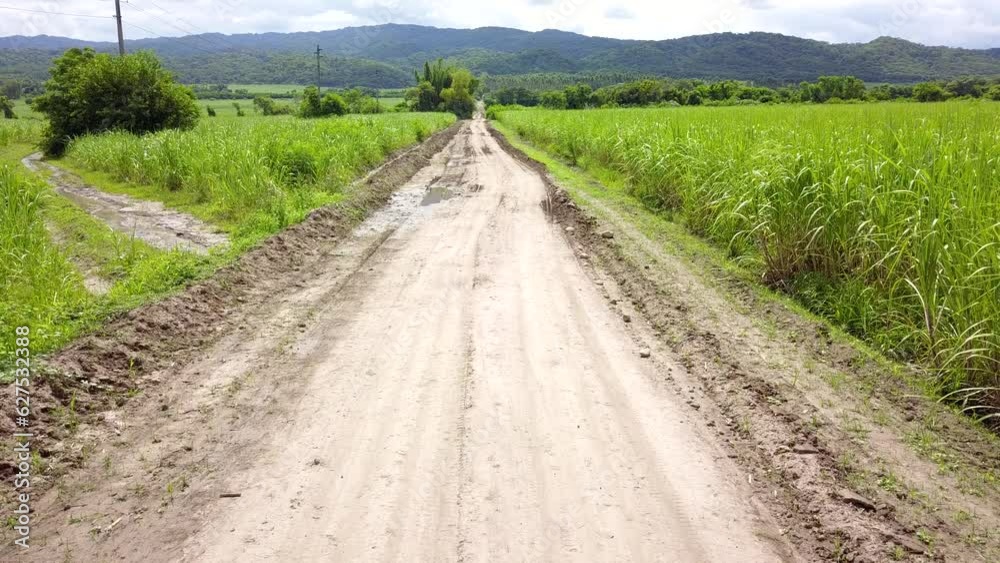 sugarcane cultivation in northwestern Argentina sugarcane cultivation in northwestern Argentina