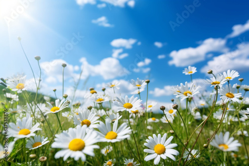 A beautiful  sun-drenched spring summer meadow. Natural colorful panoramic landscape with many wild flowers of daisies against blue sky. A frame with soft selective focus