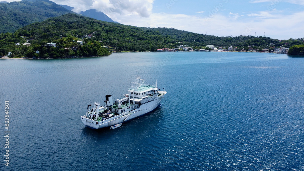 Ship in the sea . Research vessel at sea. Aerial view of a large white ship parked near the shore of a tropical island.