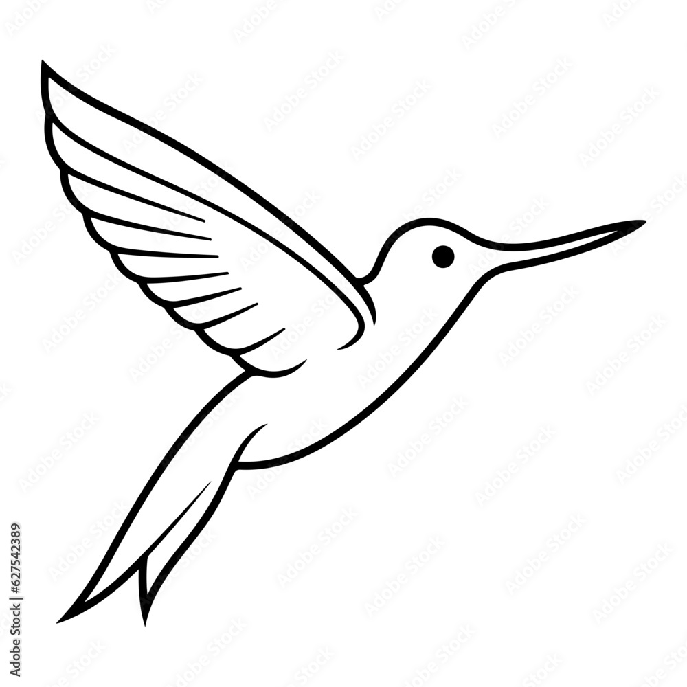 Fototapeta premium Hummingbird Illustration. Hummingbird Line Sketch