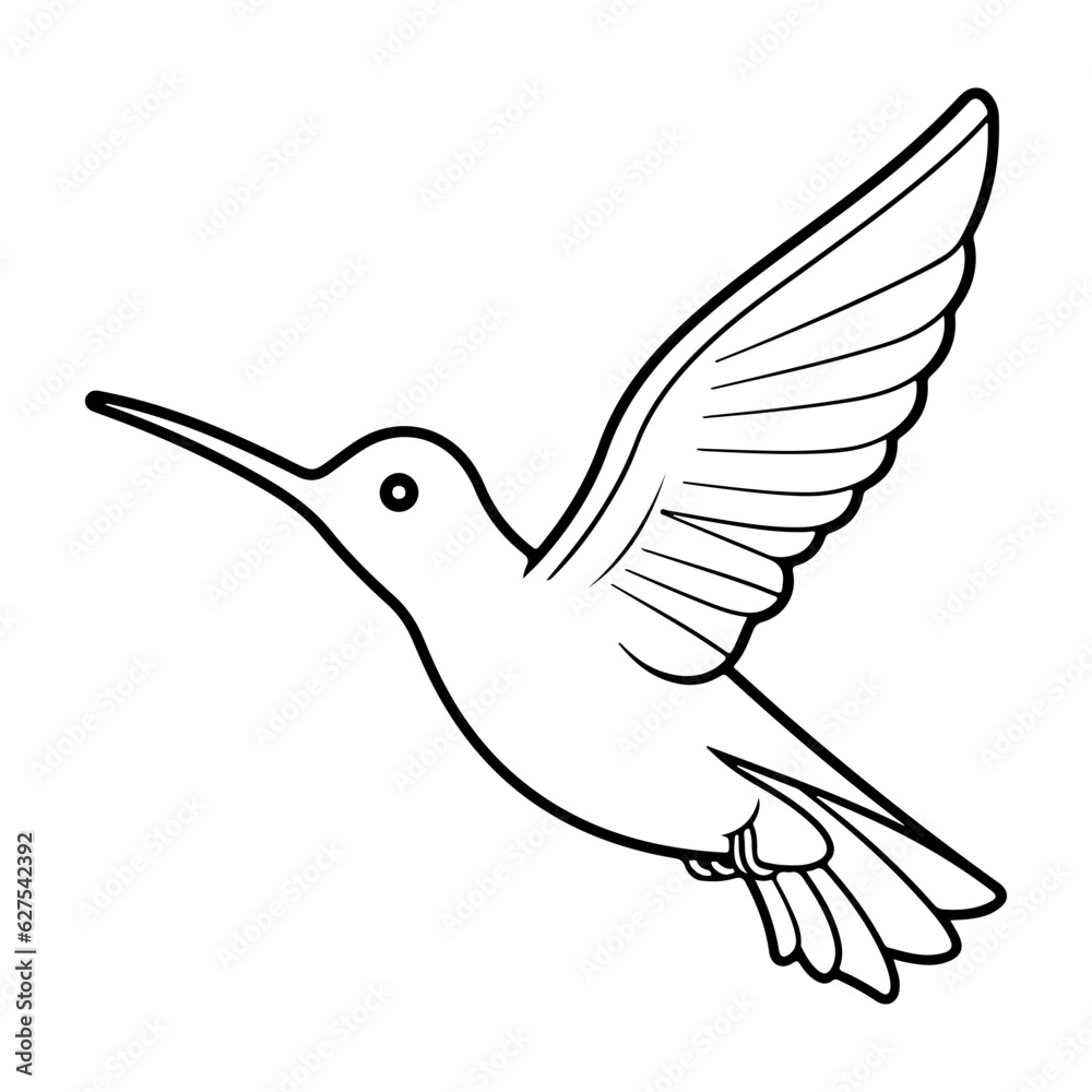 Hummingbird Illustration. Hummingbird Line Sketch Hummingbird Illustration. Hummingbird Line Sketch