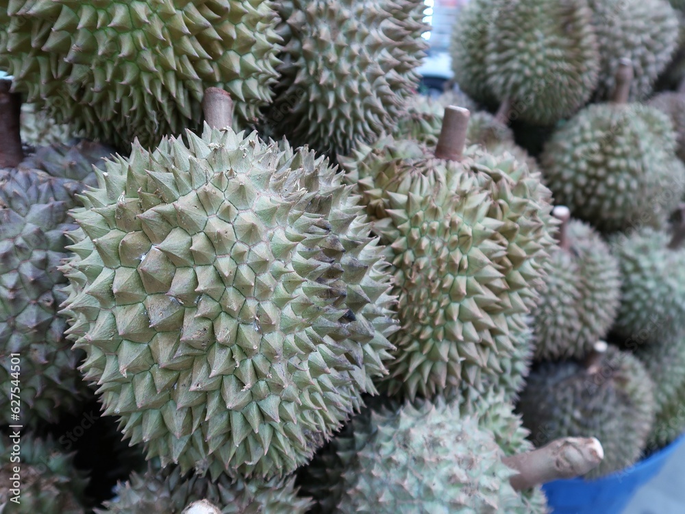 Closed up nature durian, Thai famous fruit which have green thorn but good taste. Closed up nature durian, Thai famous fruit which have green thorn but good taste.
