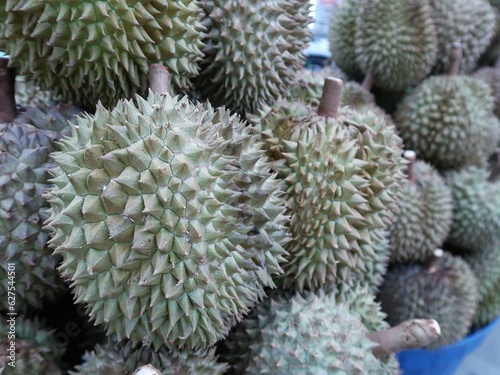Closed up nature durian, Thai famous fruit which have green thorn but good taste.