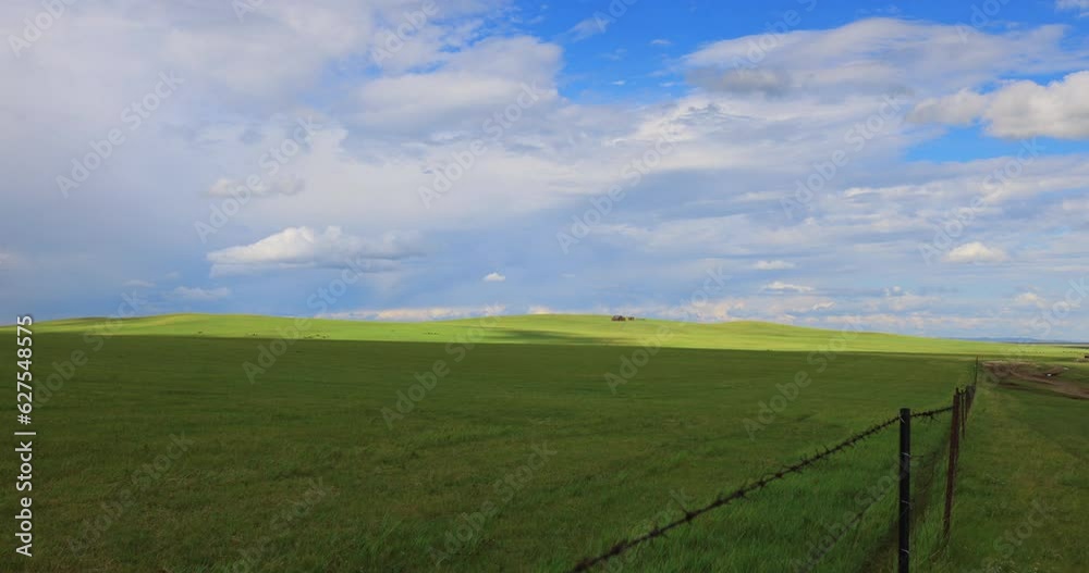 Hulunbuir Grassland, is a world famous natural pasture, is one of the world's four grasslands, known as the world's best grassland. Hulunbuir Grassland, is a world famous natural pasture, is one of the world's four grasslands, known as the world's best grassland.