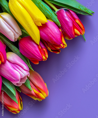 Colorful bouquet of beautiful tulips. Full frame background. Greeting card with copy space for your advertising text message for Valentine s Day  Woman s Day and Mother s Day.