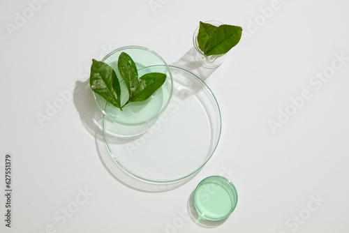 Foto Transparent podium in round shaped arranged with a beaker and petri dishes of green tea leaves and fluid