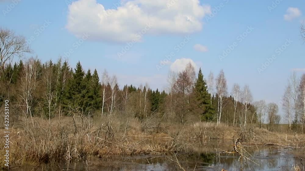 Spring landscape of a bog, nature background Spring landscape of a bog, nature background