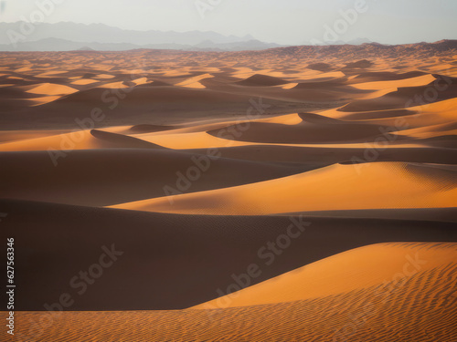 Golden sand dunes in the desert  beautiful landscape