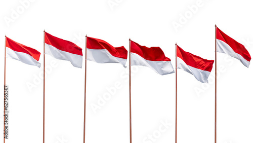 Valokuva The Indonesian national flag