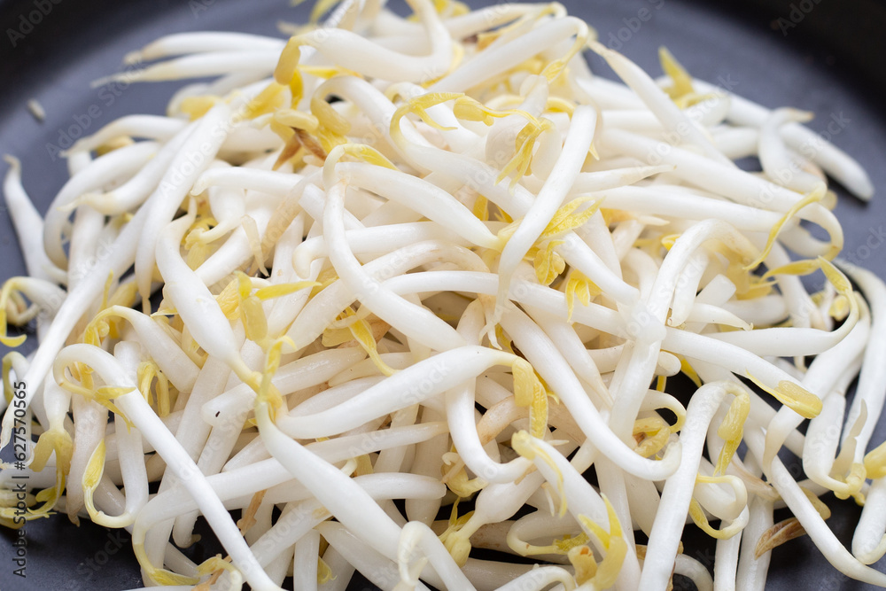 Bean sprouts on black plate