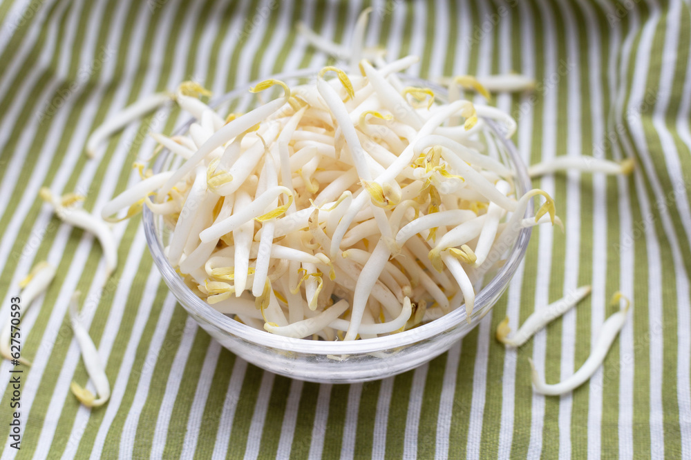 Bean sprouts on green background