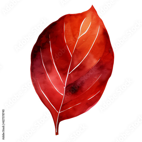 watercolor autumn leaf, ai generative