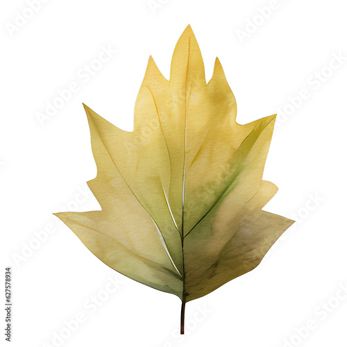 watercolor autumn leaf, ai generative