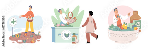 Herbal oils natural medicines. Scientist or doctor making alternative medicine herb, mortar, laboratory glassware plant in tube, flower. Doctor checking medicinal herbs. Herbal medicine. Drug research