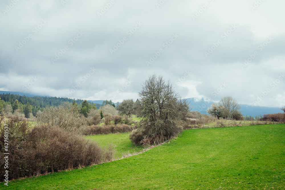 A landscape of early Balkan spring, green lawns and lawns, bare trees without leaves and a dark cloudy sky. Deserted rural landscape A landscape of early Balkan spring, green lawns and lawns, bare trees without leaves and a dark cloudy sky. Deserted rural landscape
