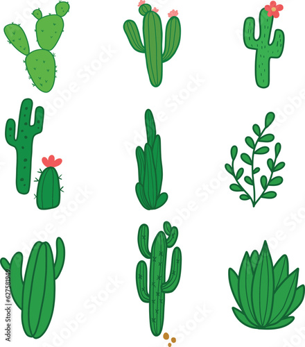 cactus illustration