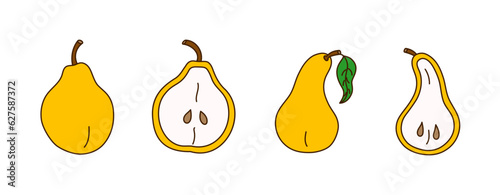 Set of hand-drawn pears on a transparent background. Isolated vector illustration of juicy fruit