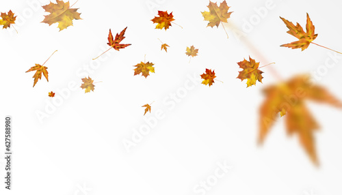 Wallpaper Mural Autumn colorful leafy ornament with yellow-orange maple leaves on a transparent background. Vector Torontodigital.ca
