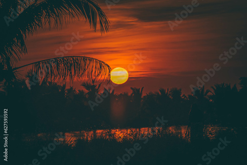 Countryside Sunset: Palm Tree Silhouette against Orange Sky