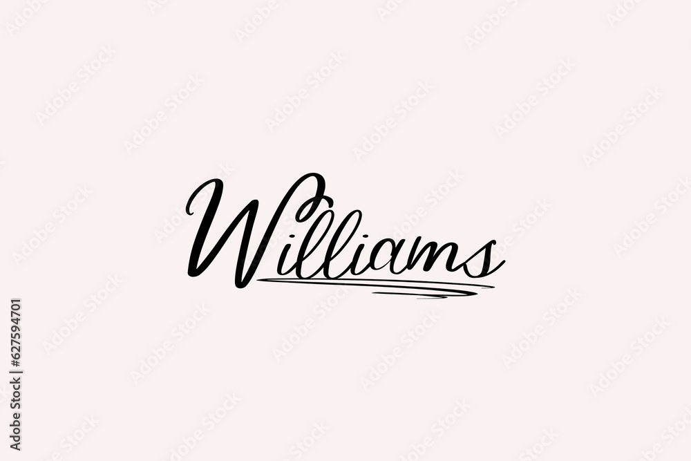 Creative and stylish williams name signature Creative and stylish williams name signature