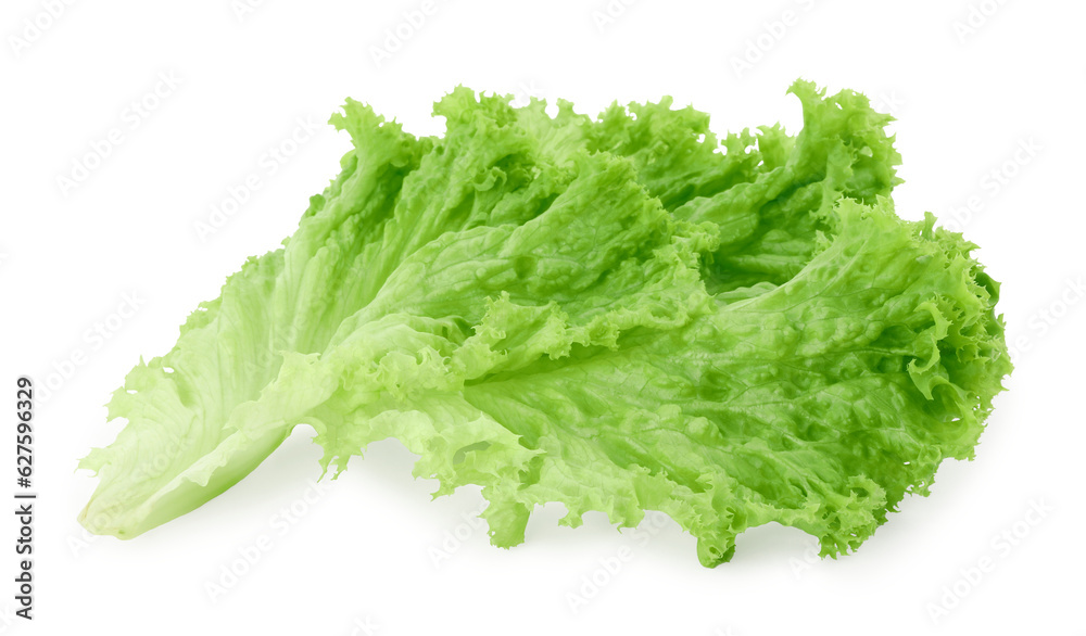 One green lettuce leaf isolated on white. Salad greens One green lettuce leaf isolated on white. Salad greens