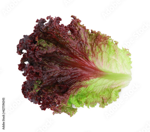 Leaf of fresh red coral lettuce isolated on white photo