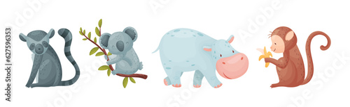 Cute African Animals and Zoo Creature Vector Set