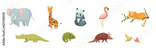 Cute African Animals and Zoo Creature Vector Set